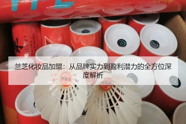 兰芝化妆品加盟：从品牌实力到盈利潜力的全方位深度解析 - leyu
