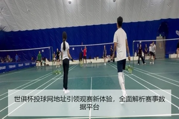世俱杯投球网地址引领观赛新体验，全面解析赛事数据平台